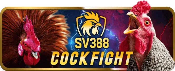 Nền tảng bảo mật Winbet88